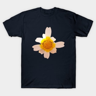 Crown Daisy Flower Closeup T-Shirt